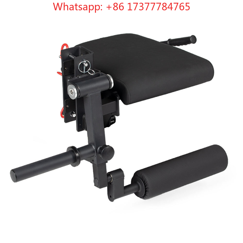Home Gym Leg Training Machine  - Home Gym Quad Exercises reseña y precio