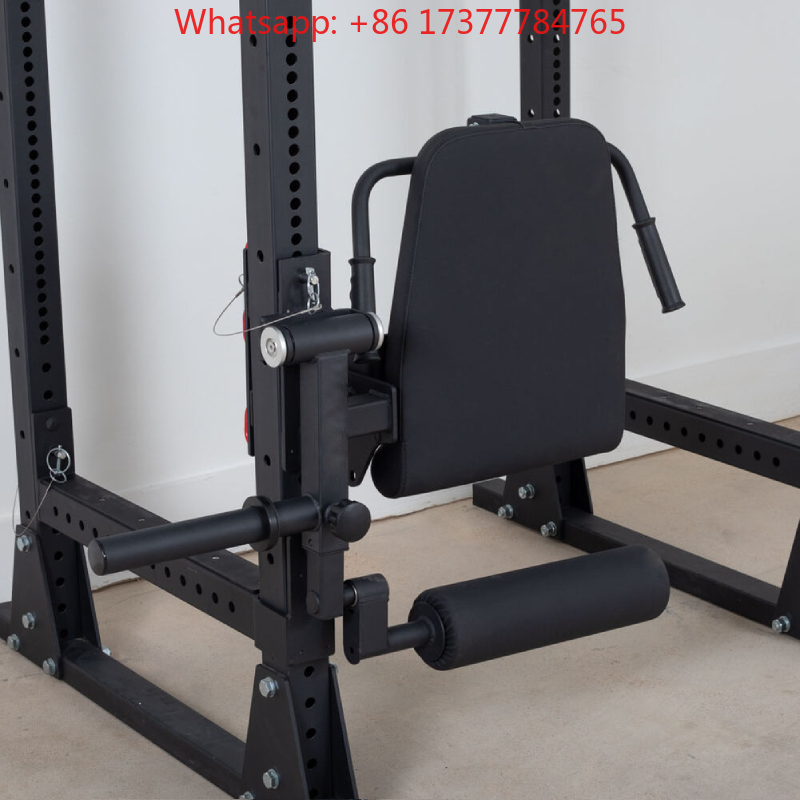 Home Gym Leg Training Machine  - Home Gym Quad Exercises reseña y precio