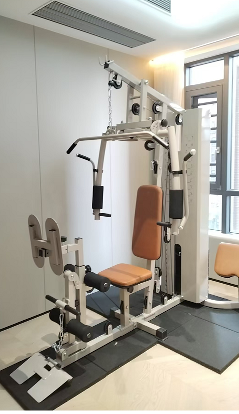 All-In-One Multi-Function Home - Home Gym Equipment reseña y precio