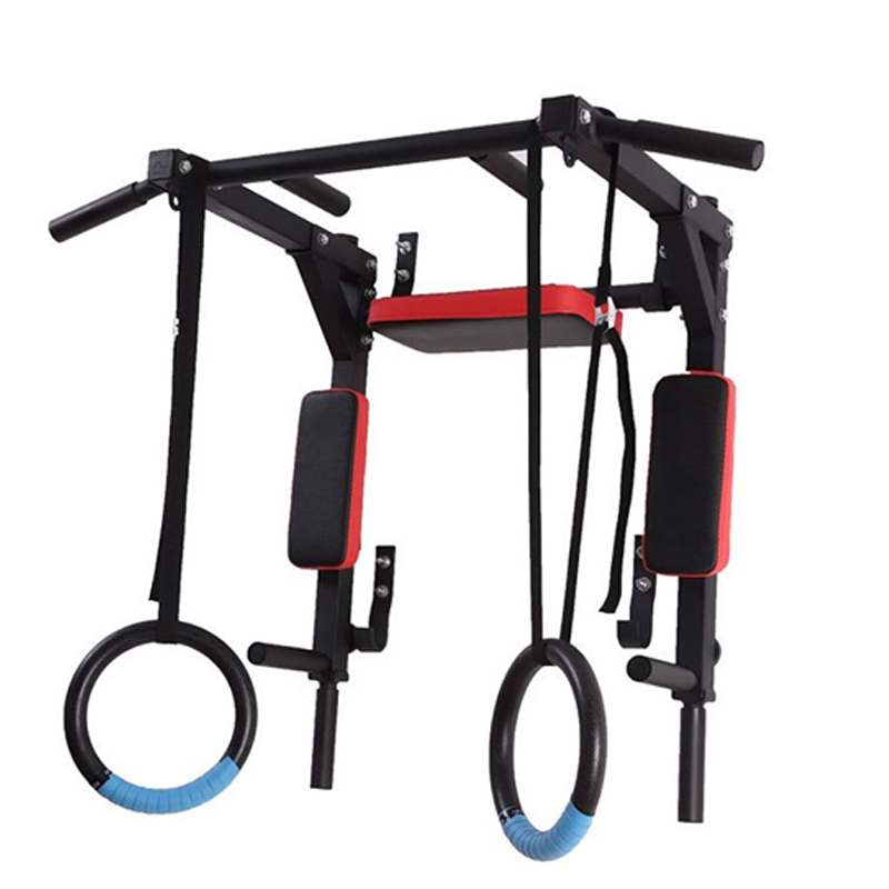 Heavy Duty Wall Mounted Parall - Home Gym Wall reseña y precio
