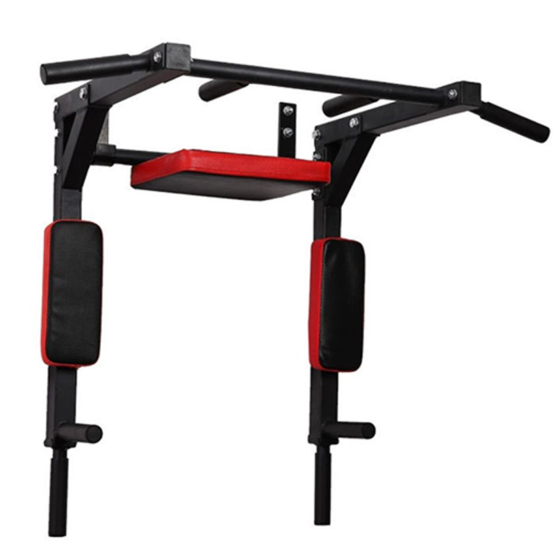 Heavy Duty Wall Mounted Parall - Home Gym Wall reseña y precio