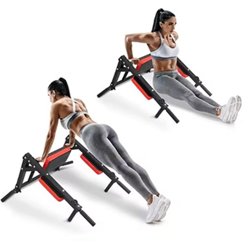Heavy Duty Wall Mounted Parall - Home Gym Wall reseña y precio